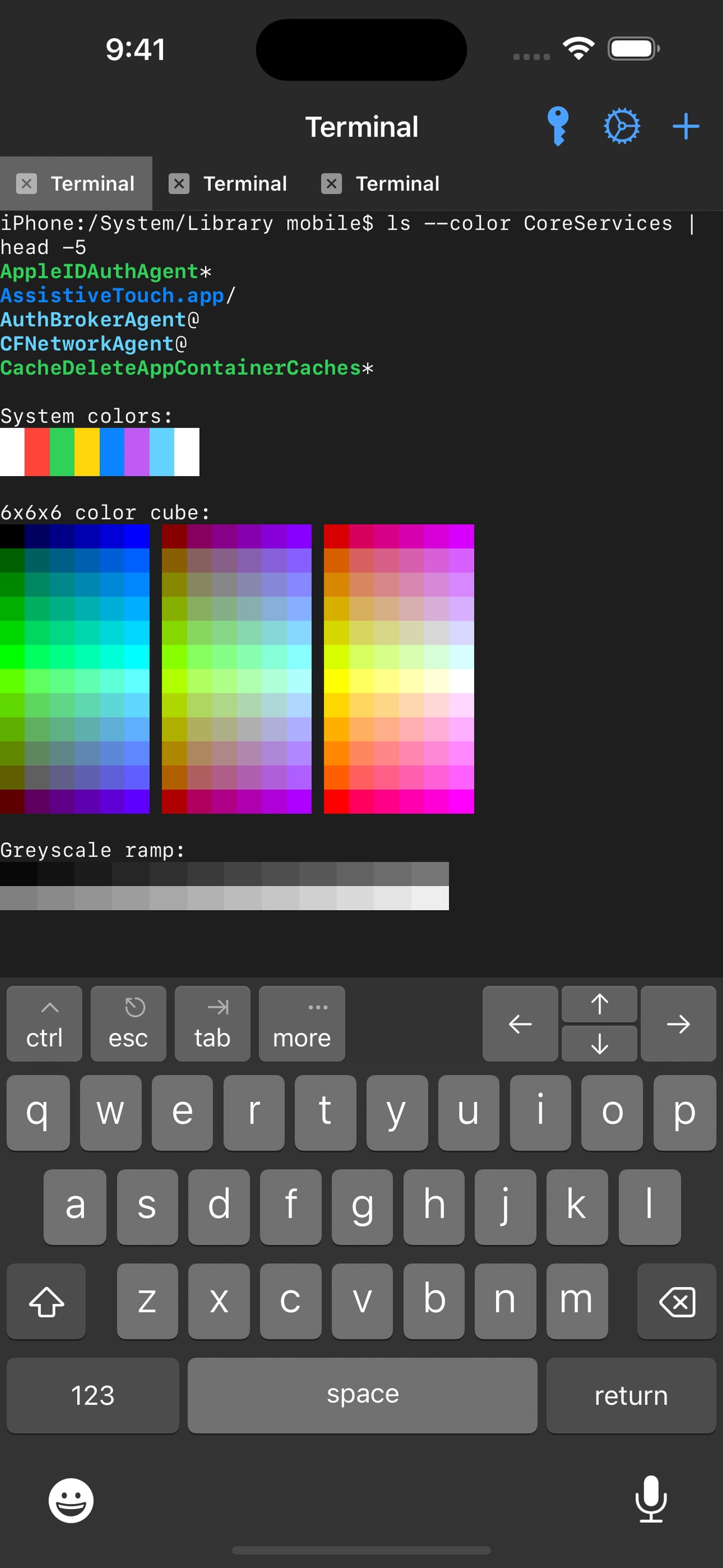 The main terminal screen of NewTerm 3, displaying a color test.